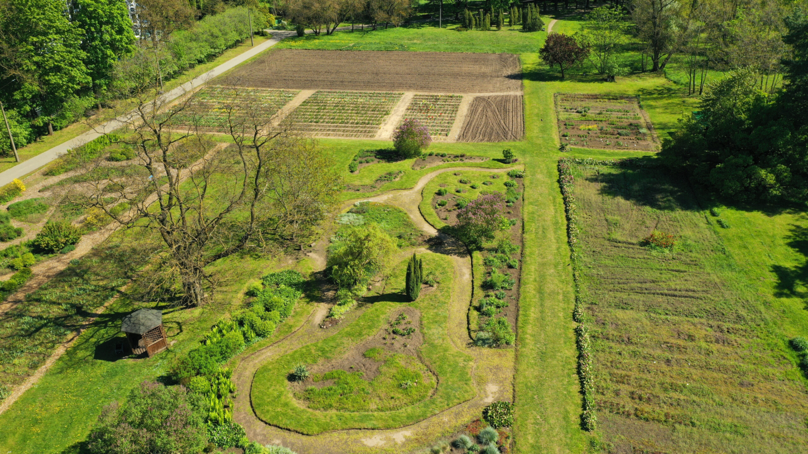 Top view of the spring Minsk Botanical Garden. Belarus.